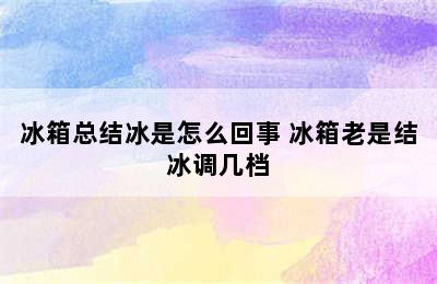 冰箱总结冰是怎么回事 冰箱老是结冰调几档